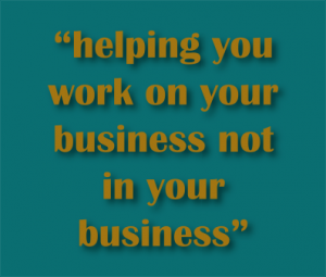 helping you work on your business not in your business